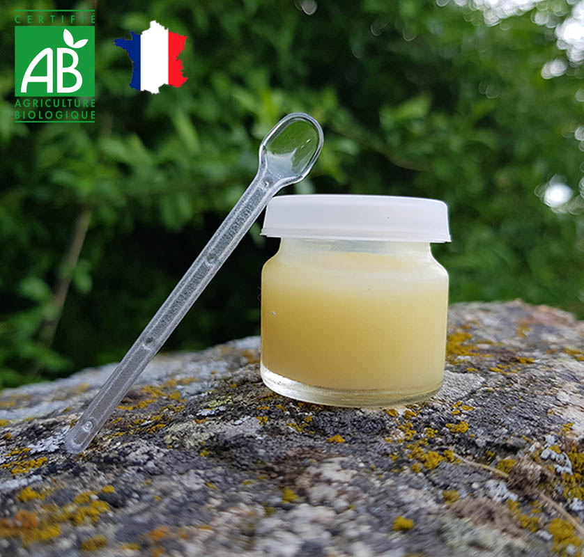 Gelée royale Bio Française 10g - Cure de 3 semaines - 1 mois (environ)  production Française - Livraison gratuite - La Grange aux Abeilles